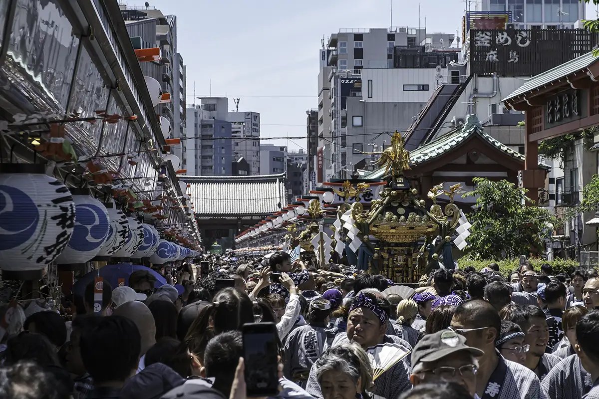 🏮 산자 마츠리 (Sanja Matsuri) 이미지 4